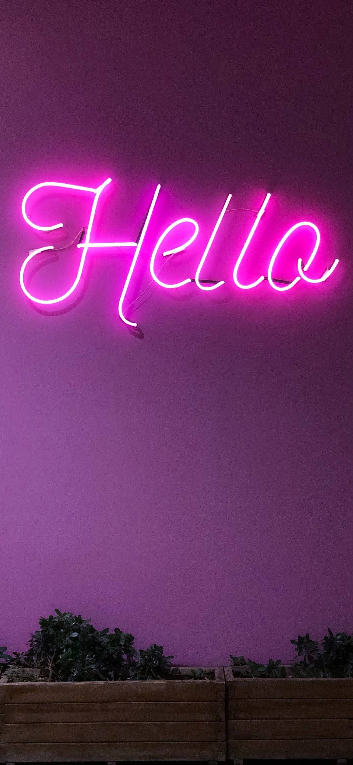 Lys lilla estetisk hei i neon Bakgrunner