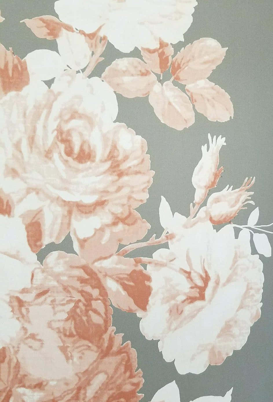 Lys opp dagen din med et vakkert blomsterbakgrunnsbilde til iPhone Bakgrunner