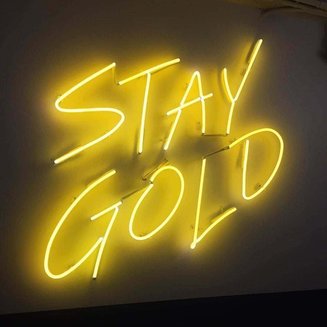 Lys opp med neonlys i estetisk stil Bakgrunner