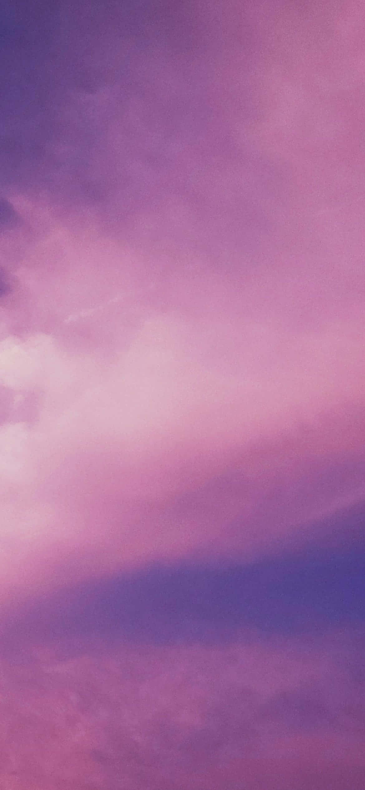 Lyst og fargerikt samspill mellom lilla og rosa Bakgrunner