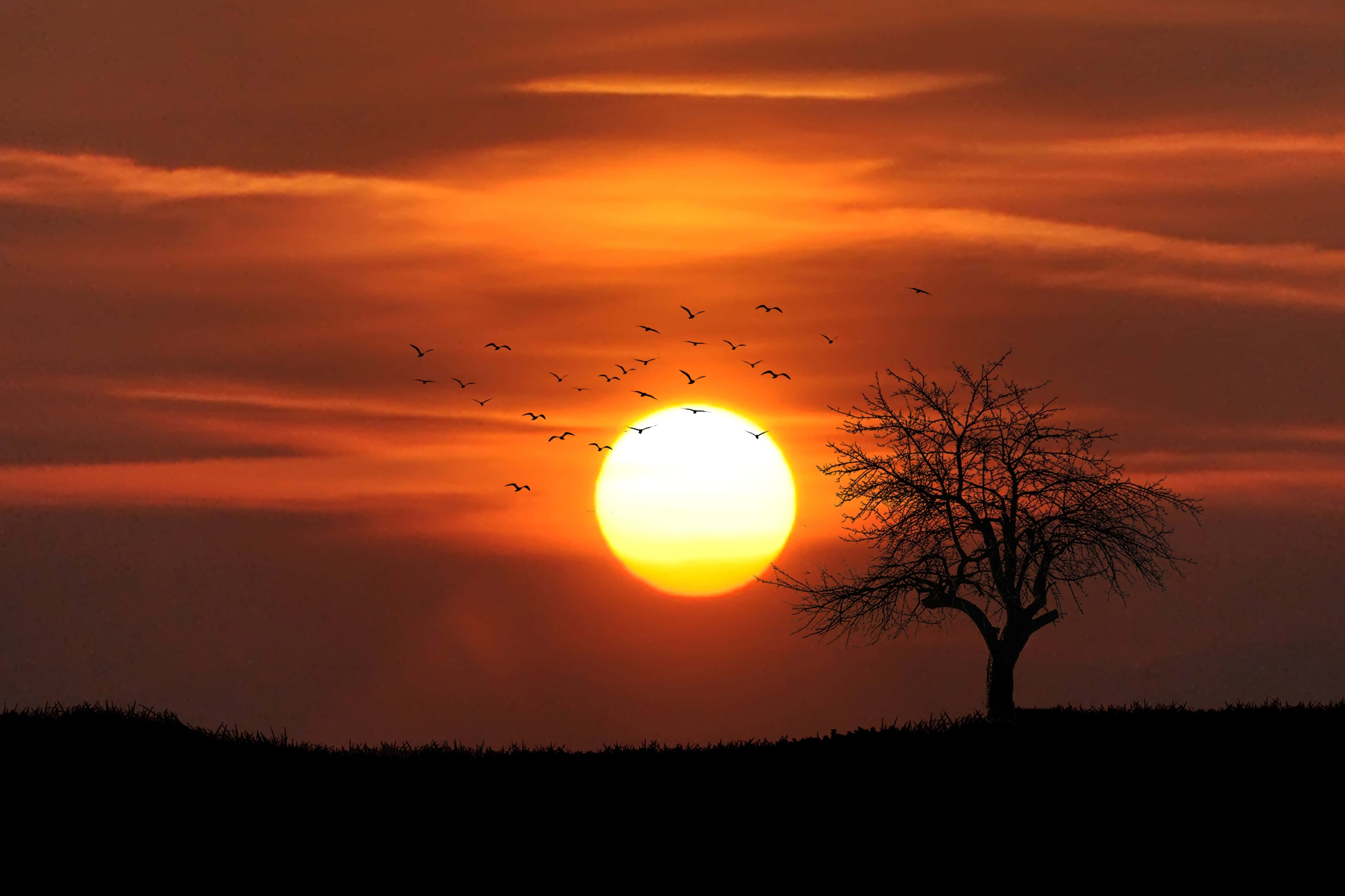 Magisk solnedgang Bakgrunner