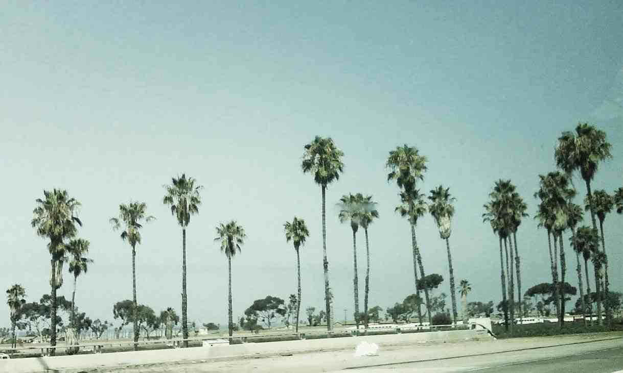 Majestetisk kystutsikt over California Bakgrunner
