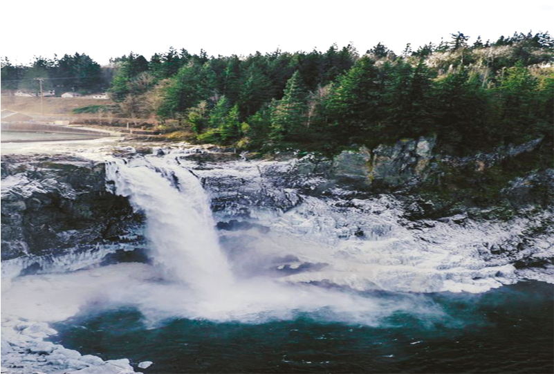 Majestetisk skog foss Bakgrunner