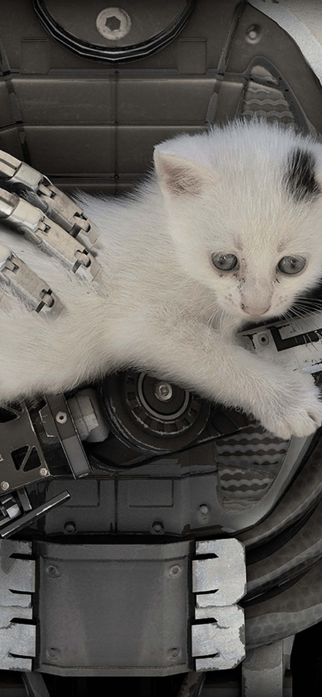 Majestetisk Verden av The Talos Principle på iPhone XS Max Bakgrunner
