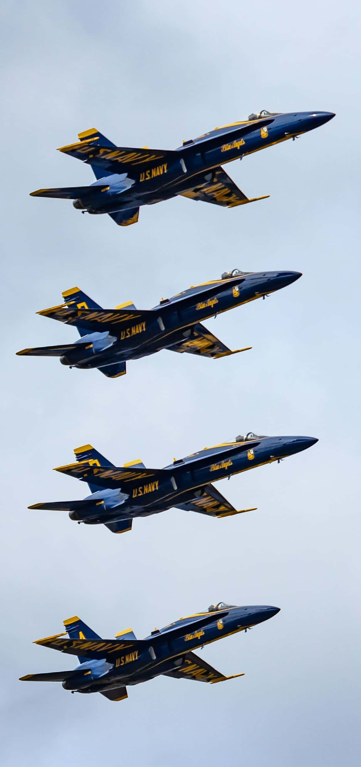 Majestetiske Blue Angels i flukt Bakgrunner