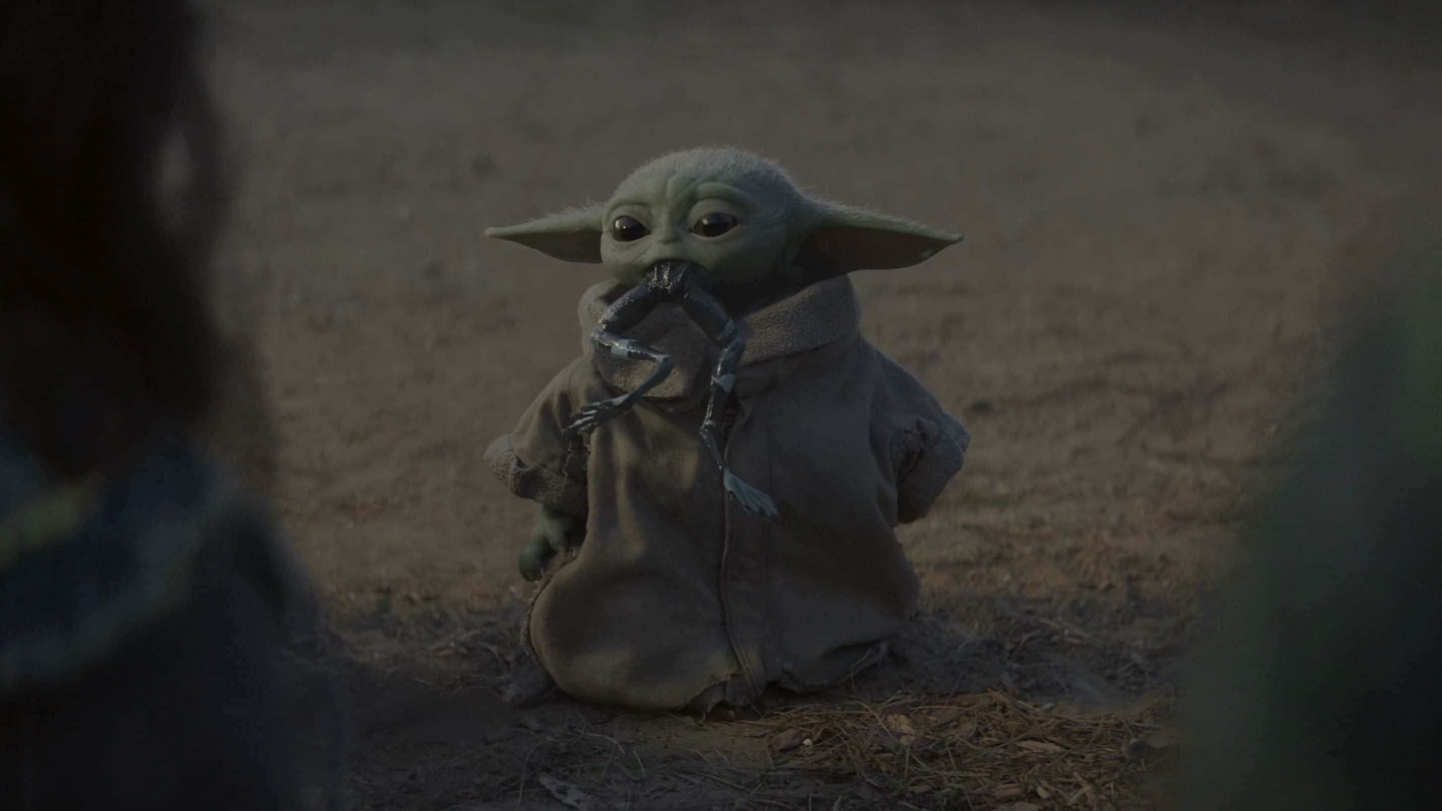 Mandalorian Yoda som biter froskelår Bakgrunner
