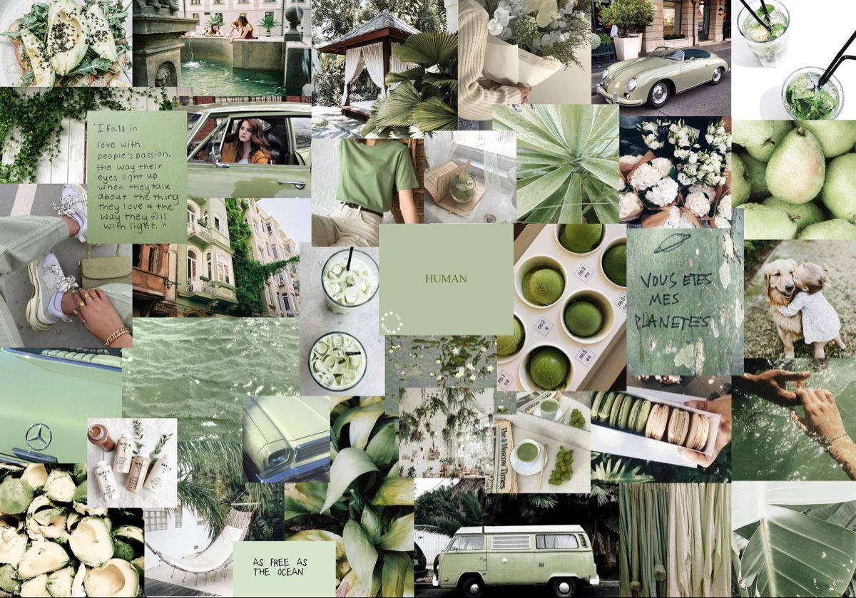 Matcha-grønn estetisk collage laptop Bakgrunner