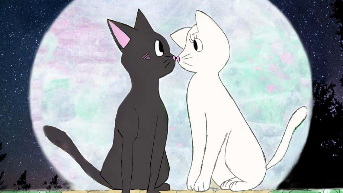 Matchende katteprofilbilde Sailor Moon Bakgrunner