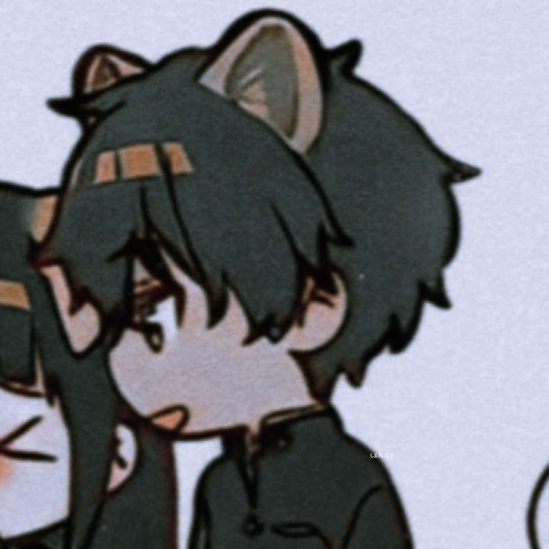 Matching Couple Pfp Anime Kattegutt Bakgrunner