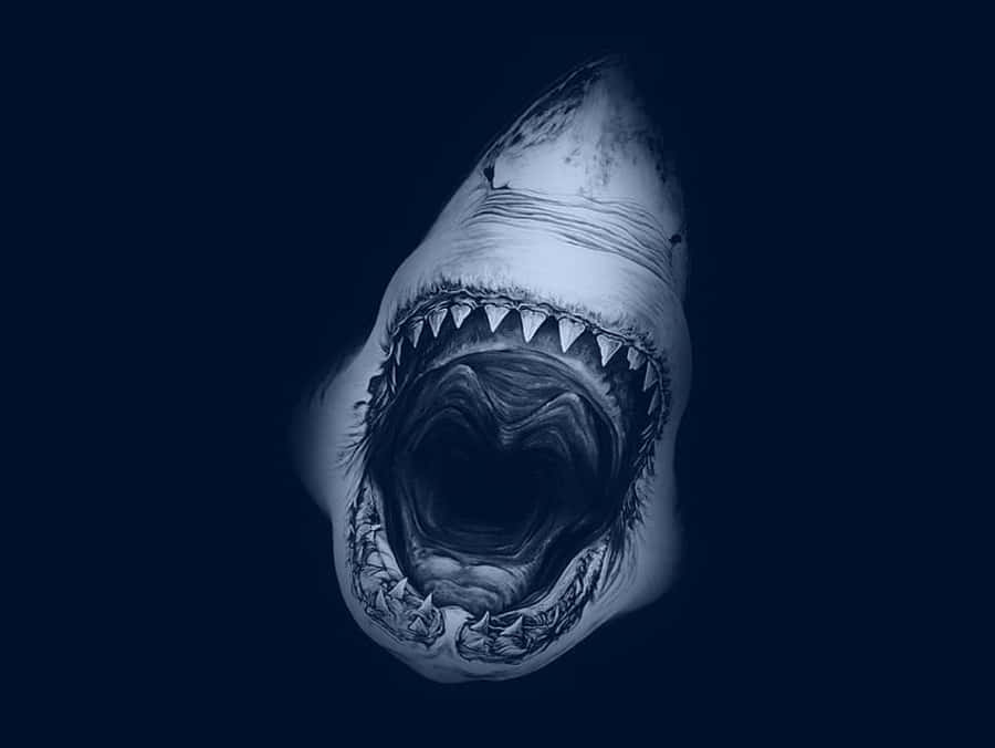 Megalodon blå estetisk brøl bilde Bakgrunner