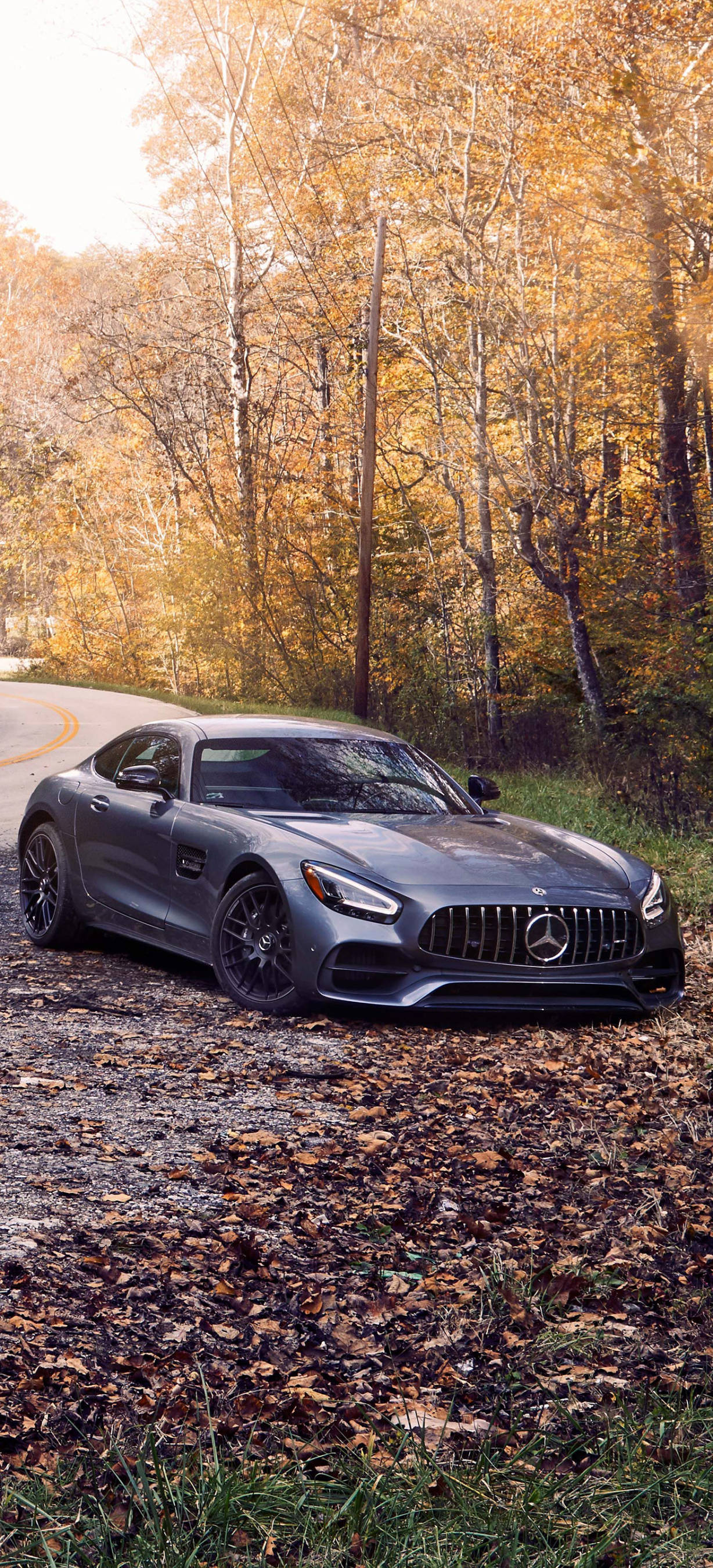 Mercedes AMG Høsttrær iPhone Bakgrunner
