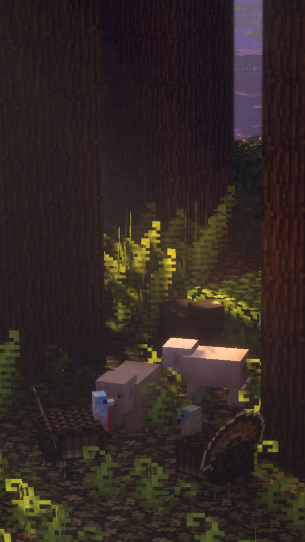 Minecraft Aestetisk Skjult Mørk Skog Bakgrunner
