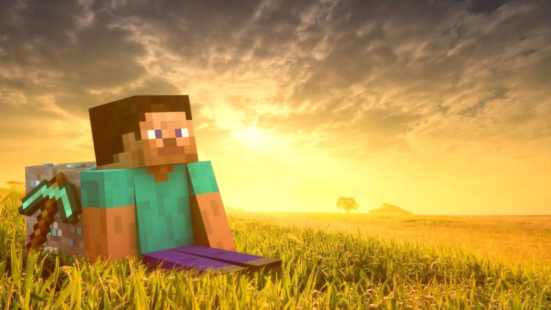Minecraft Steve 1080p Spilling Bakgrunner