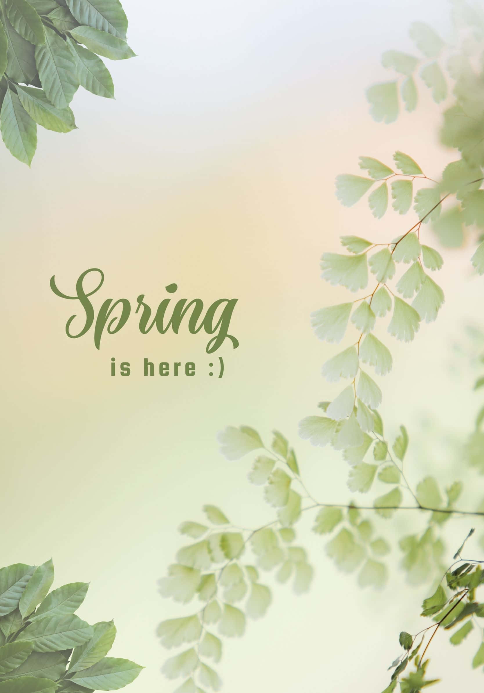 Minimalistisk Best Spring Grønne Blader Bakgrunn Bakgrunner