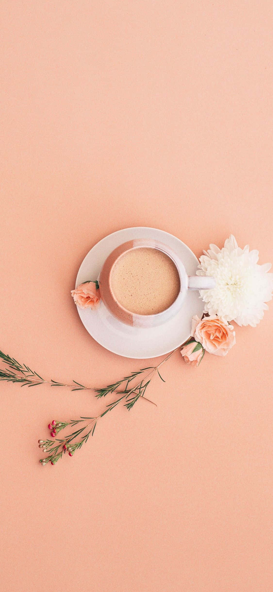 Minimalistisk Blomst Og Kopp Kaffe Bakgrunner