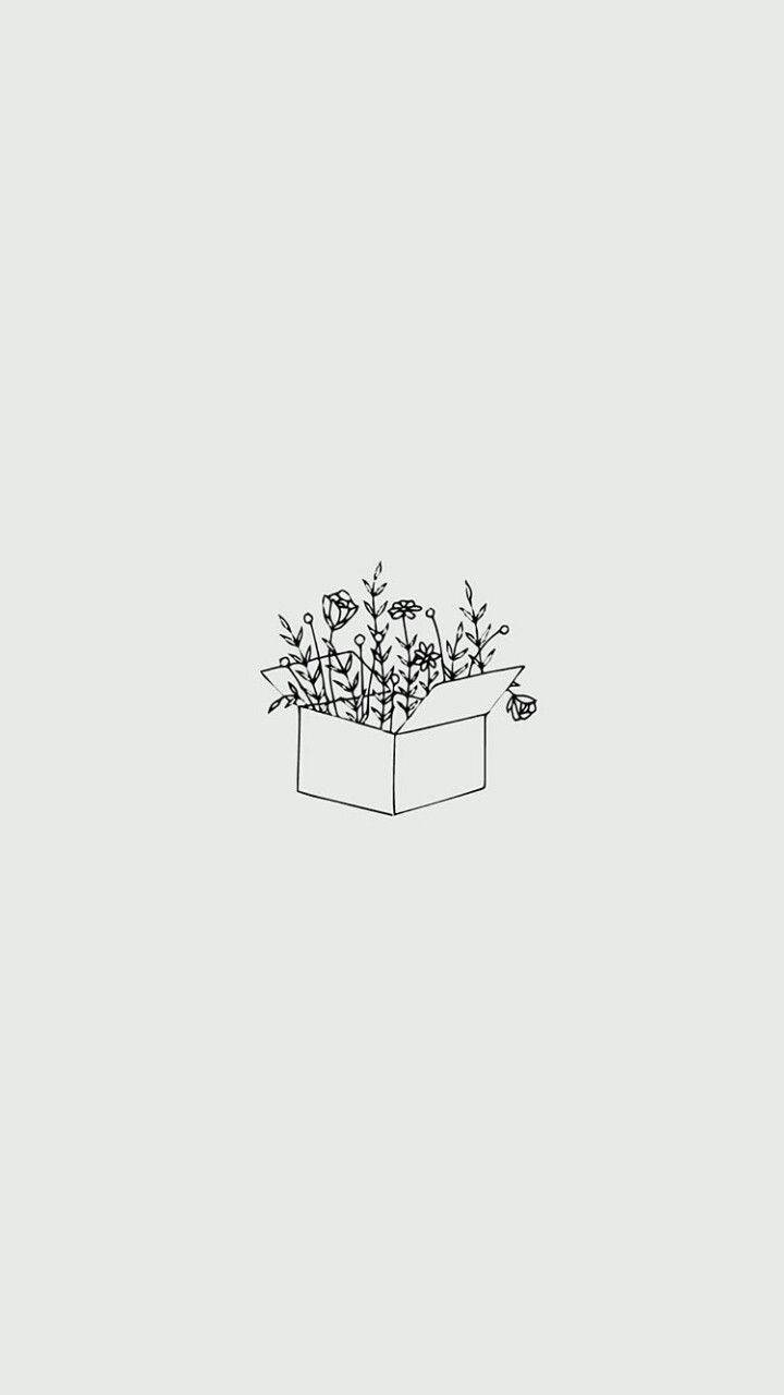 Minimalistisk estetisk boks fylt med blomster Bakgrunner
