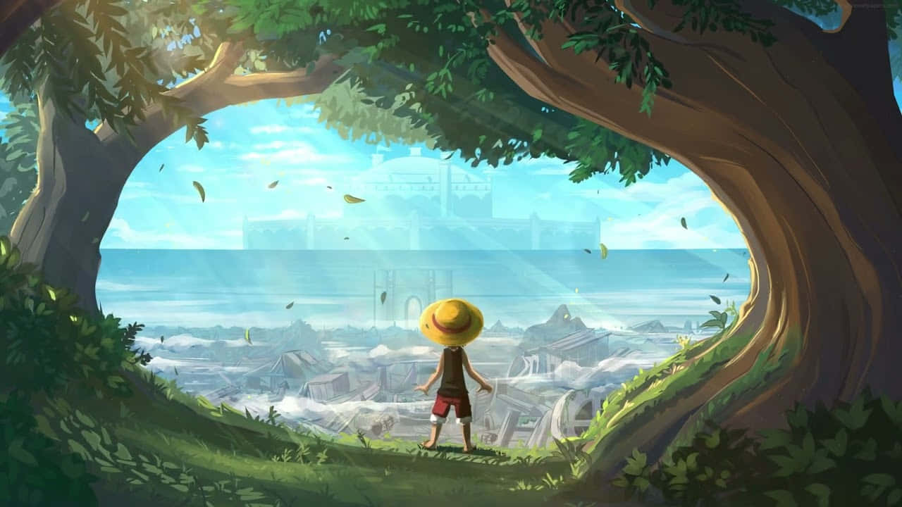 Monkey D. Luffy seiler på Grand Line på jakt etter One Piece Bakgrunner
