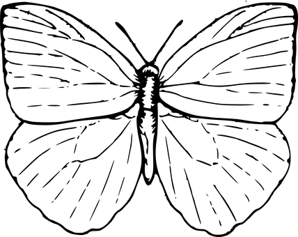 Monokrom sommerfuglsilhuett Bakgrunner