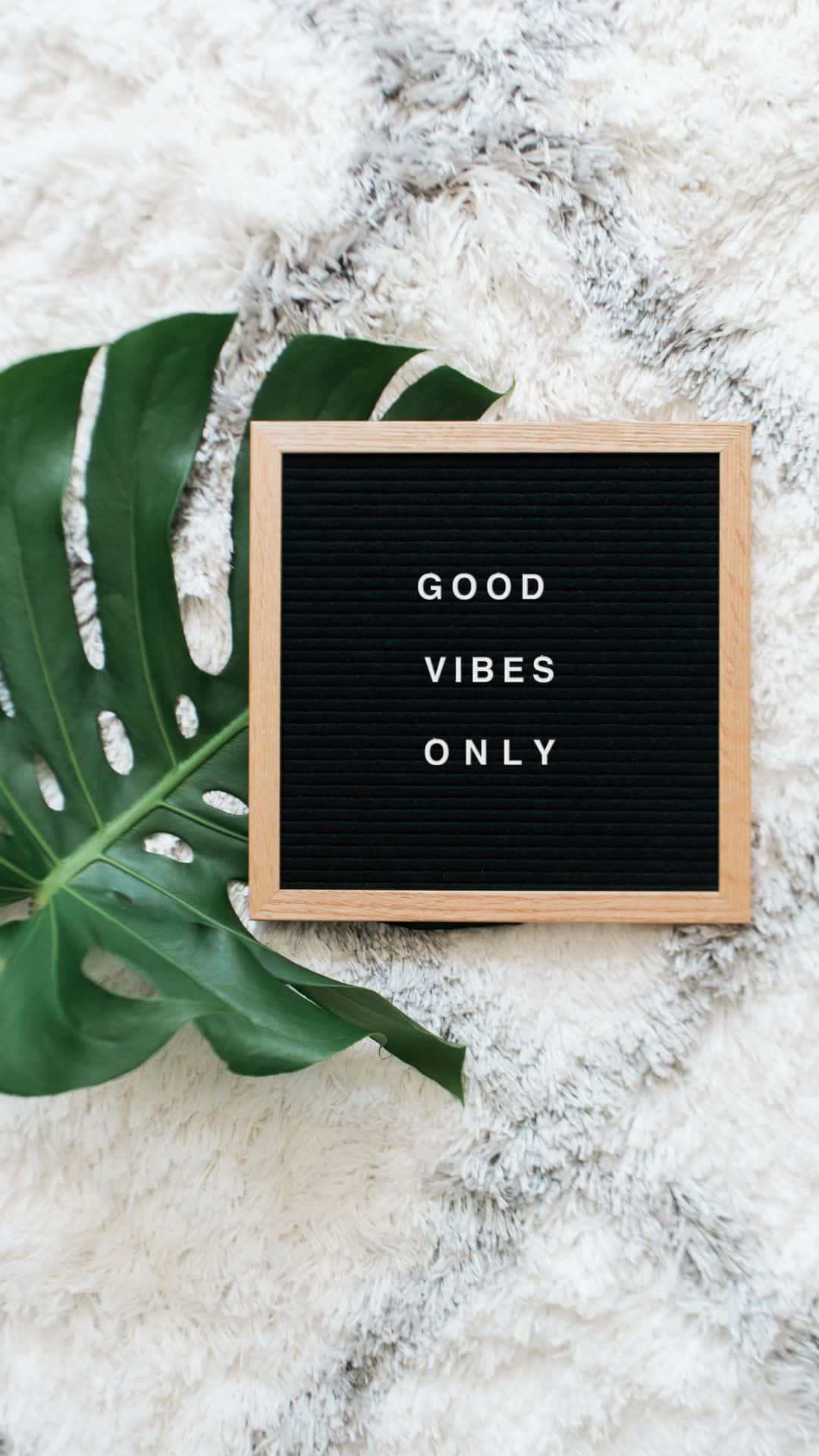 Monstera-blad Good Vibes iPhone Bakgrunner