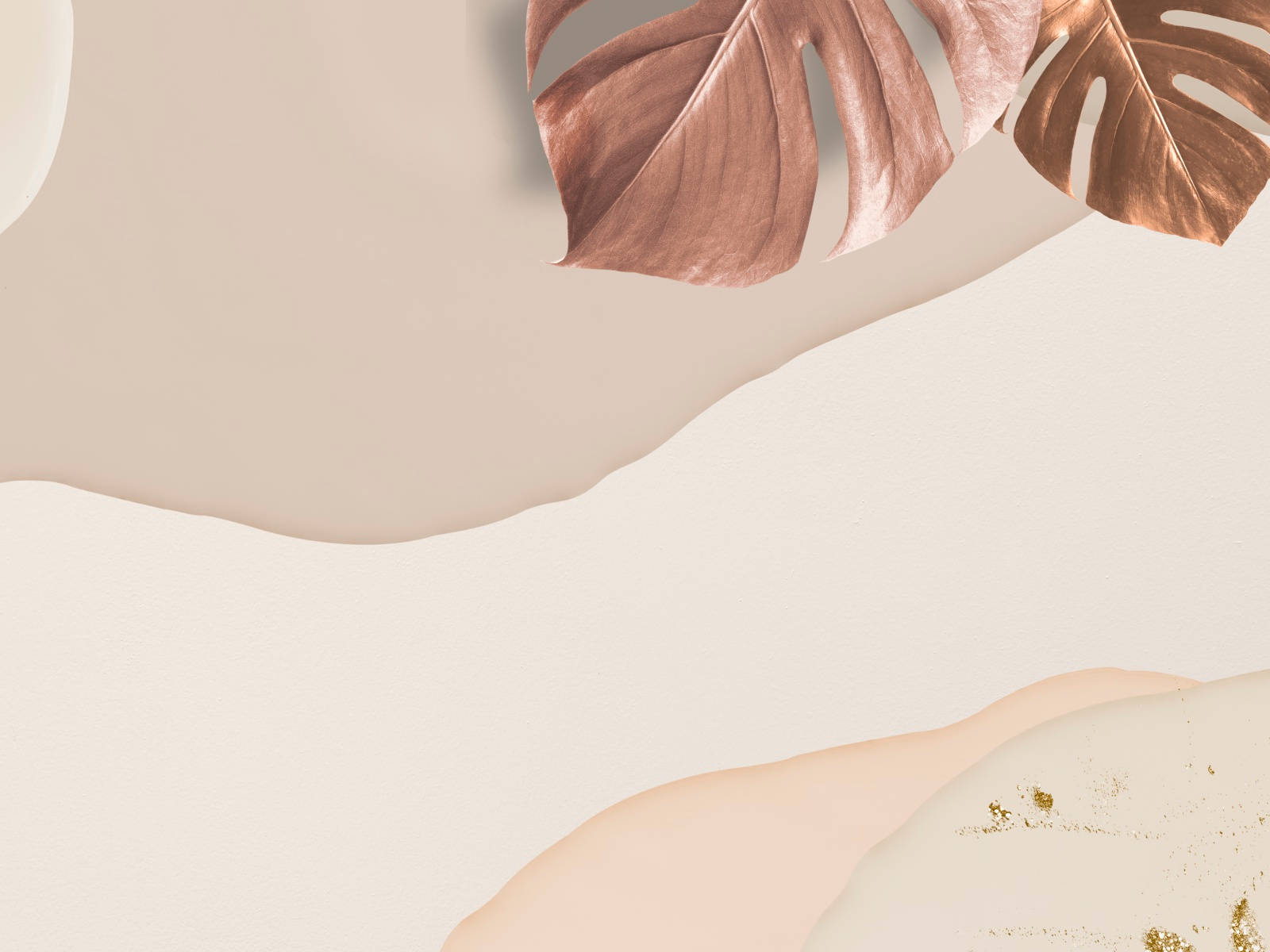 Monstera-blad på beige bakgrunn Bakgrunner