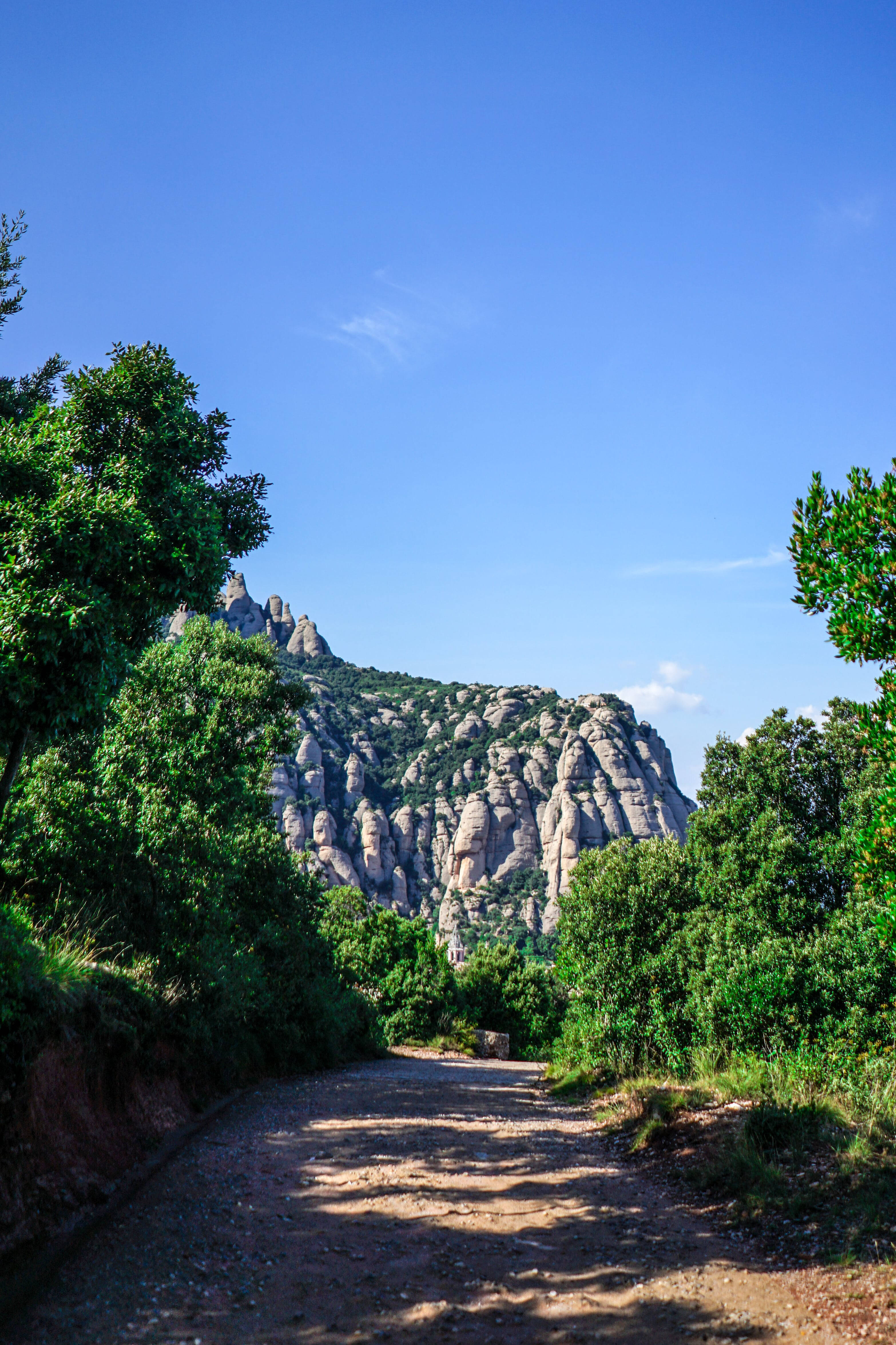 Montserrat Skogssti Bakgrunner