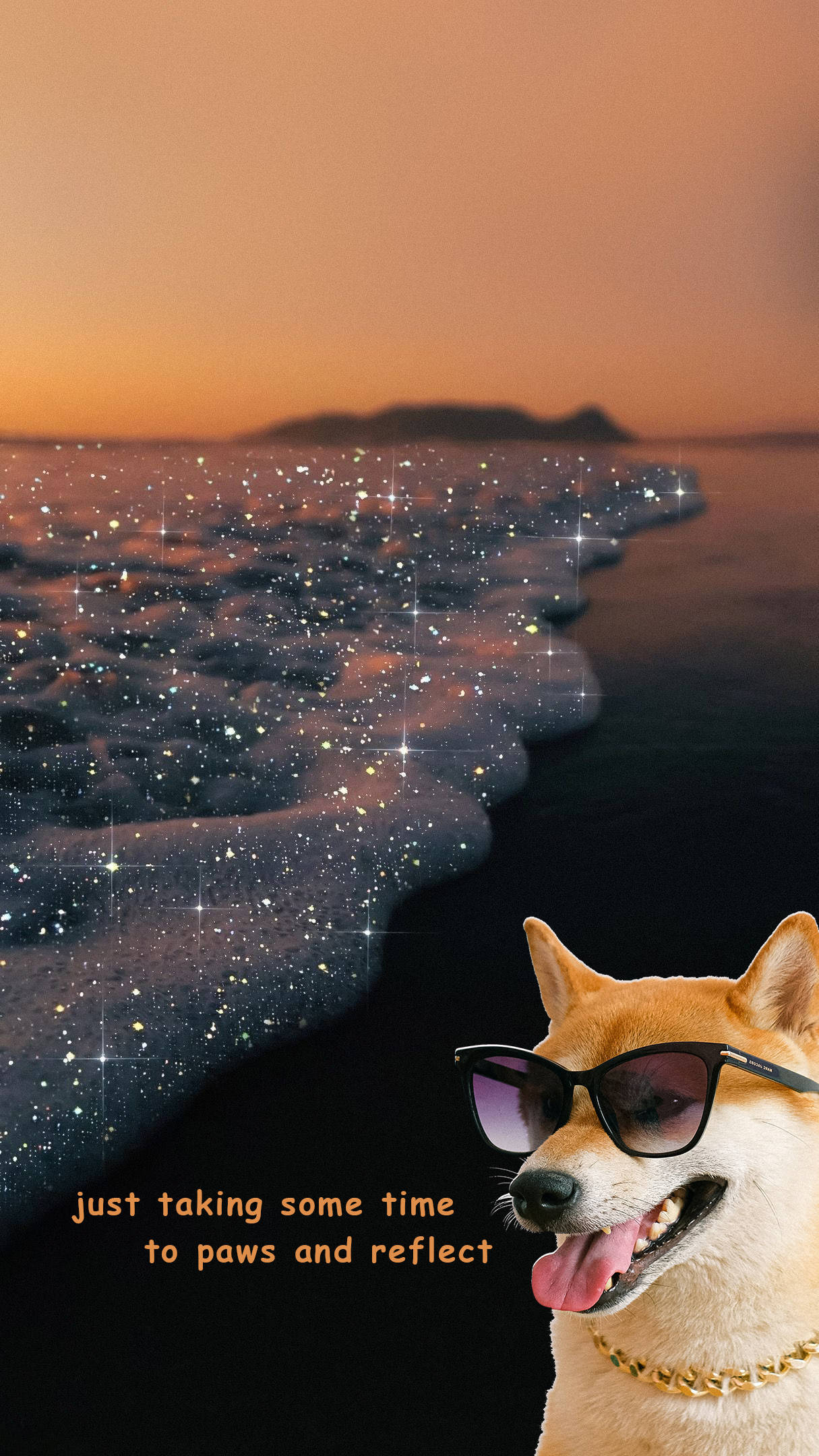 Morsom estetikk med hund på stranden Bakgrunner