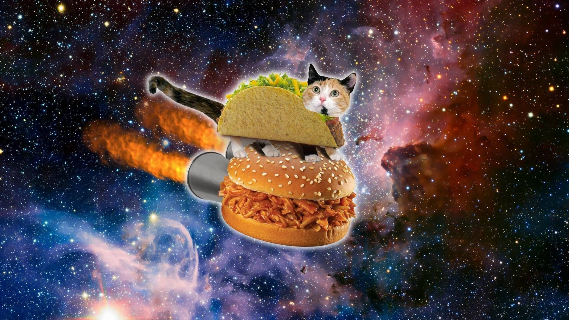 Morsom katt i burgerdrakt i verdensrommet Bakgrunner