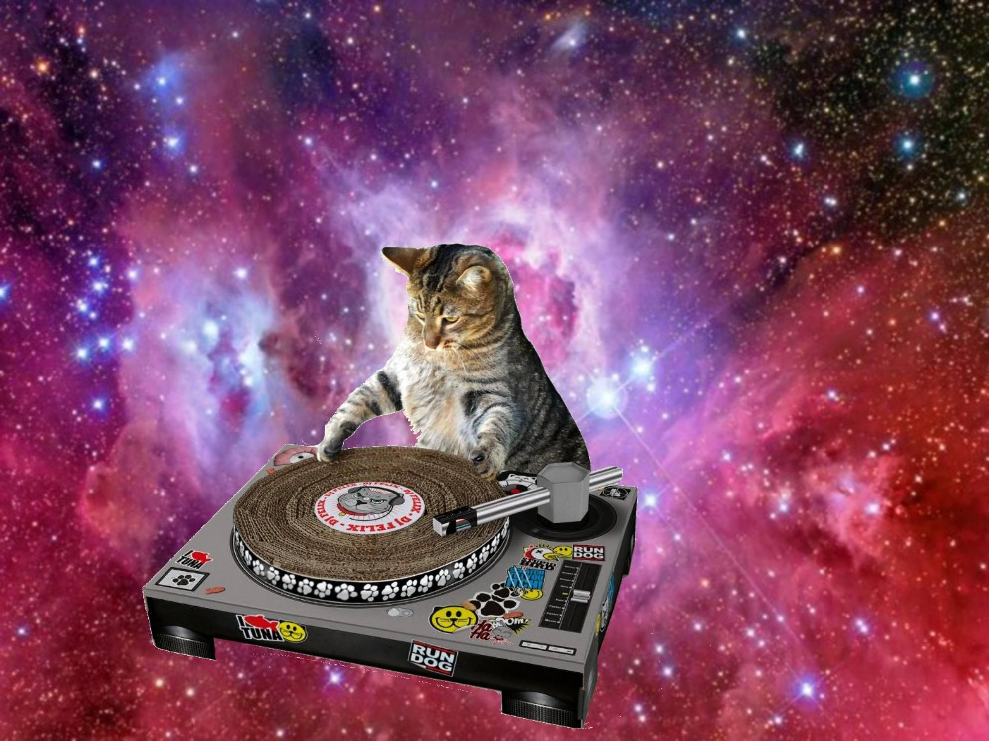 Morsom katt som DJ i verdensrommet Bakgrunner