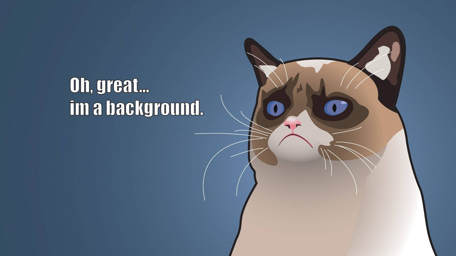 Morsom siamesisk tegneseriekatt meme Bakgrunner