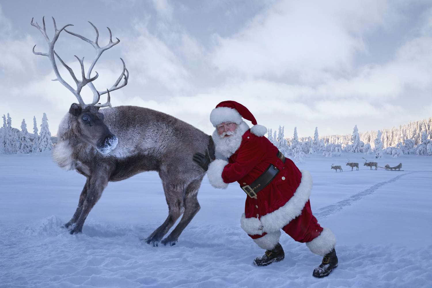 Morsomme julebilder Bakgrunner