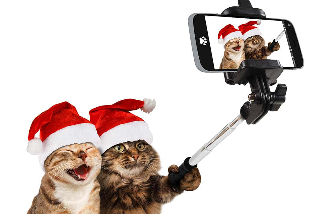 Morsomme julebilder Bakgrunner