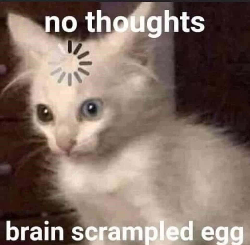 Morsomme memes tenkende katt lasteikon bilder Bakgrunner