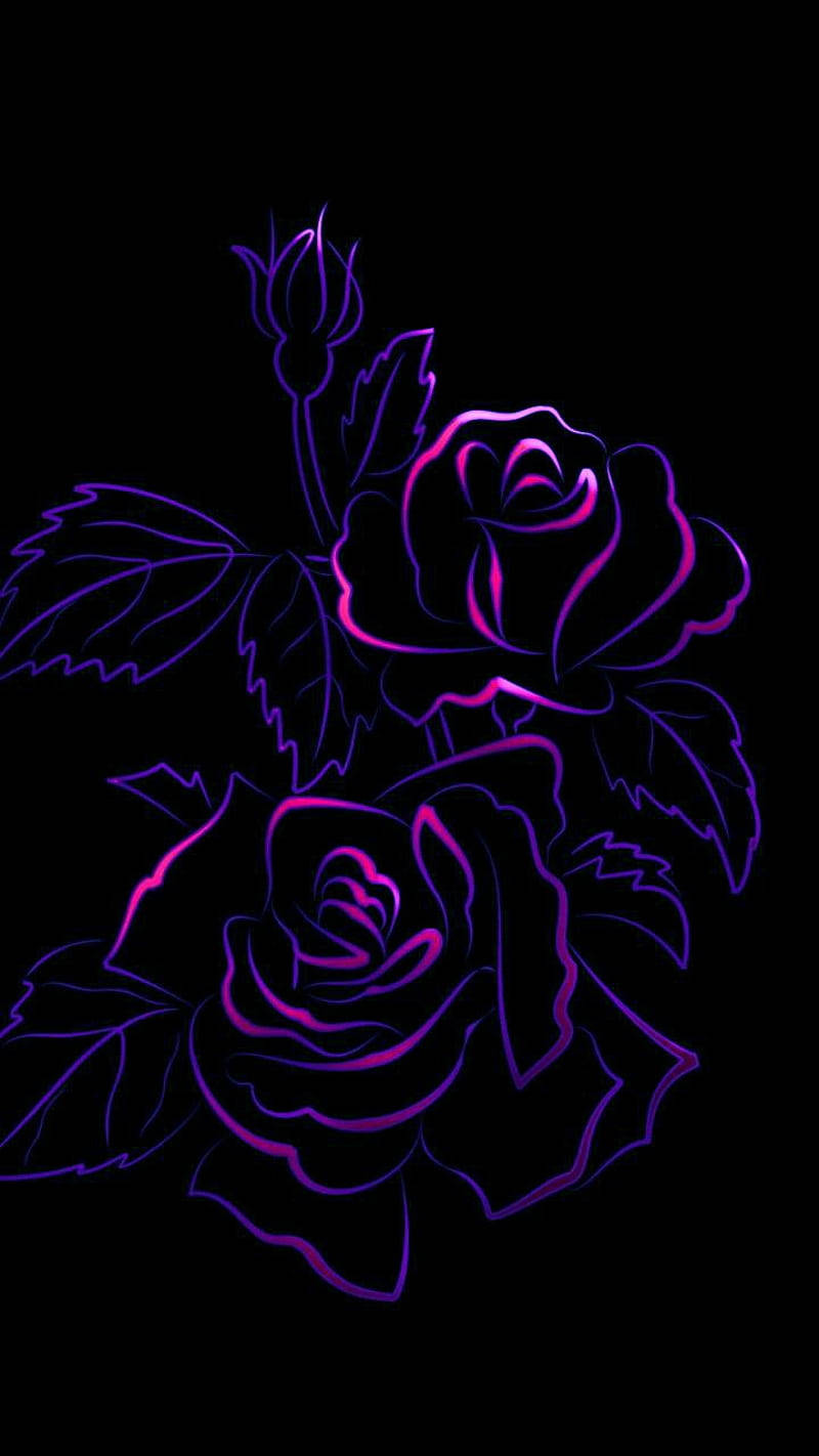 Mørk lilla estetisk rosekunst Bakgrunner