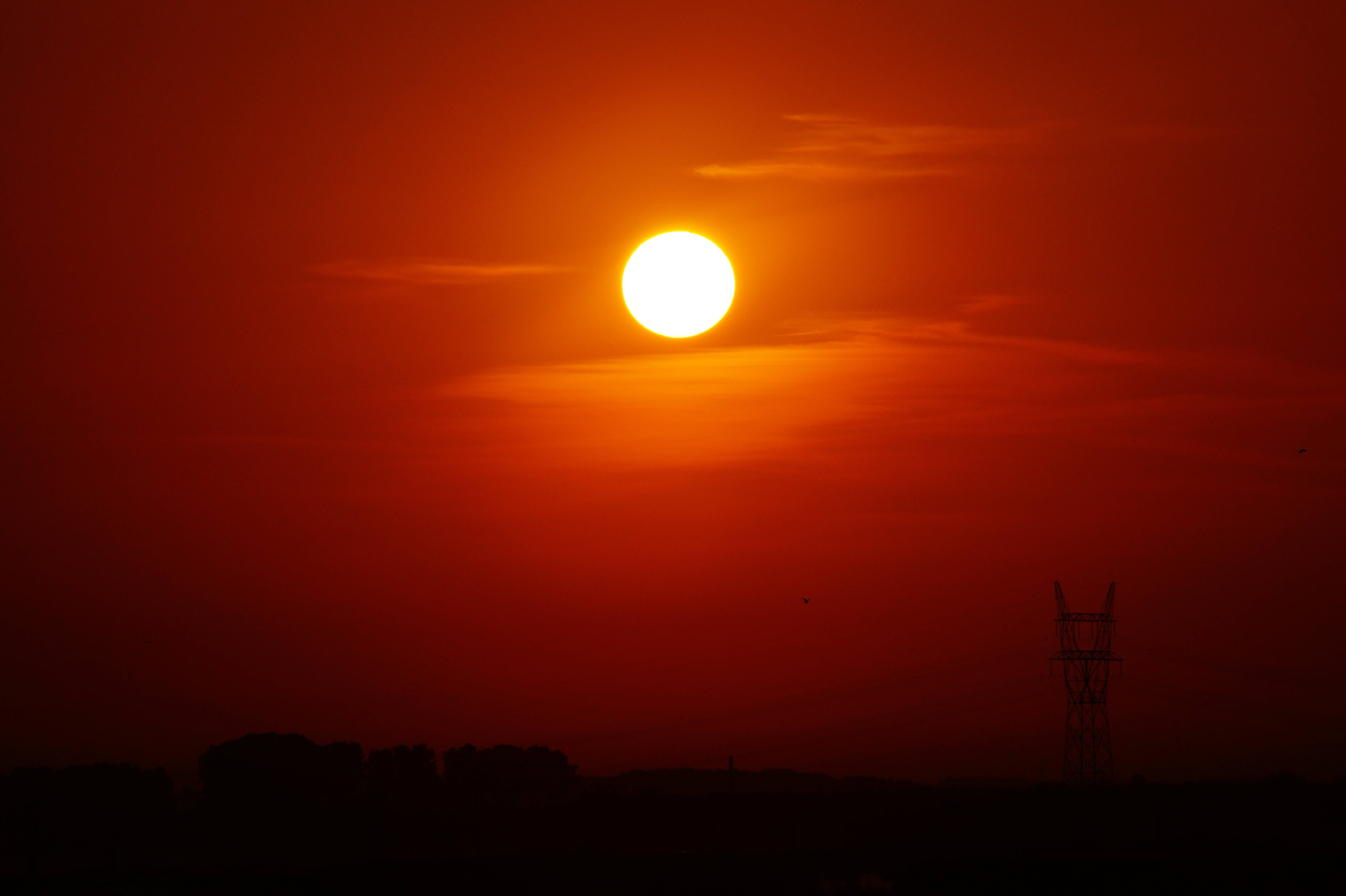 Mørk rød sol Bakgrunner
