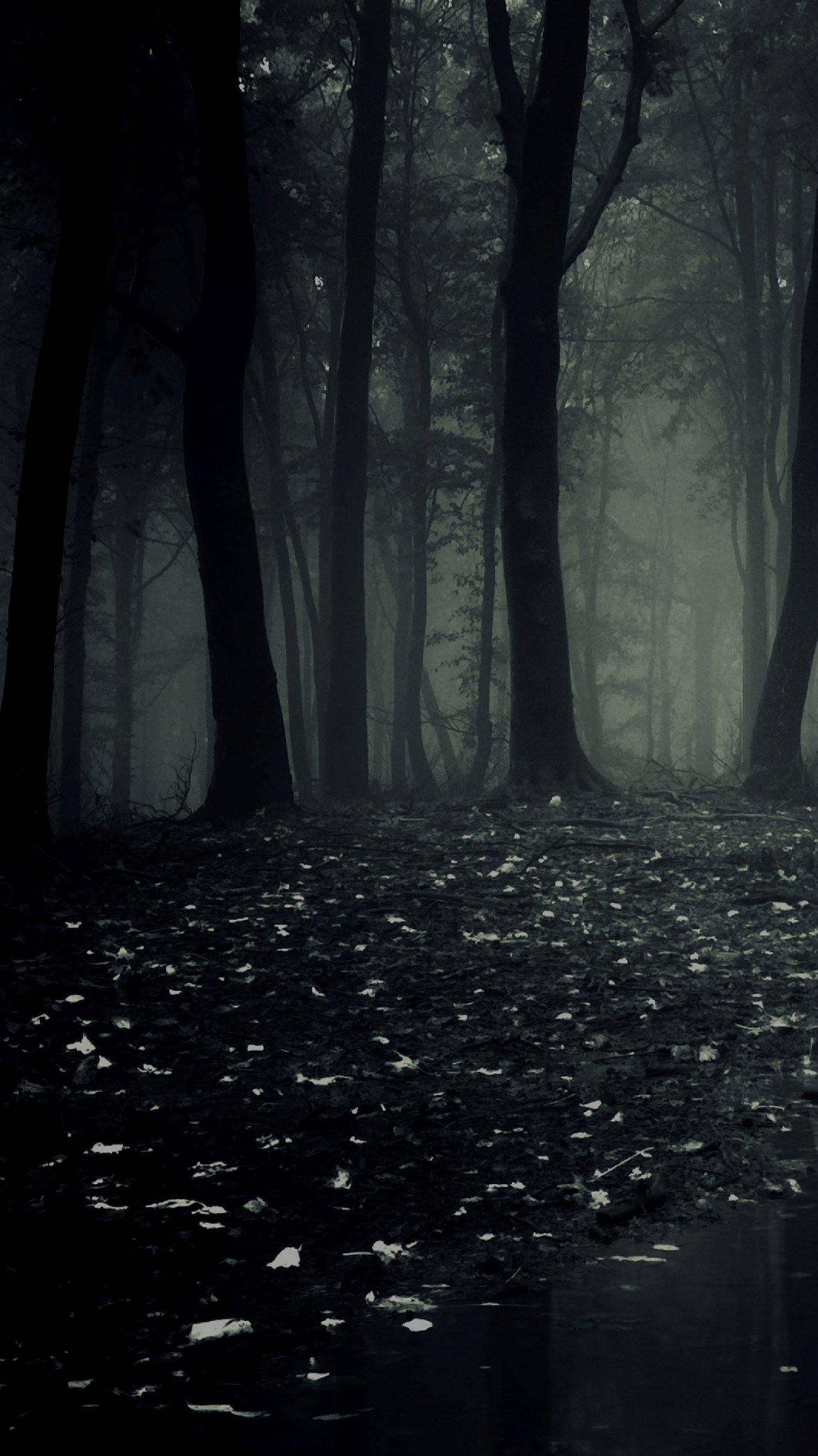 Mørk Telefon Skummel Skog Bakgrunner