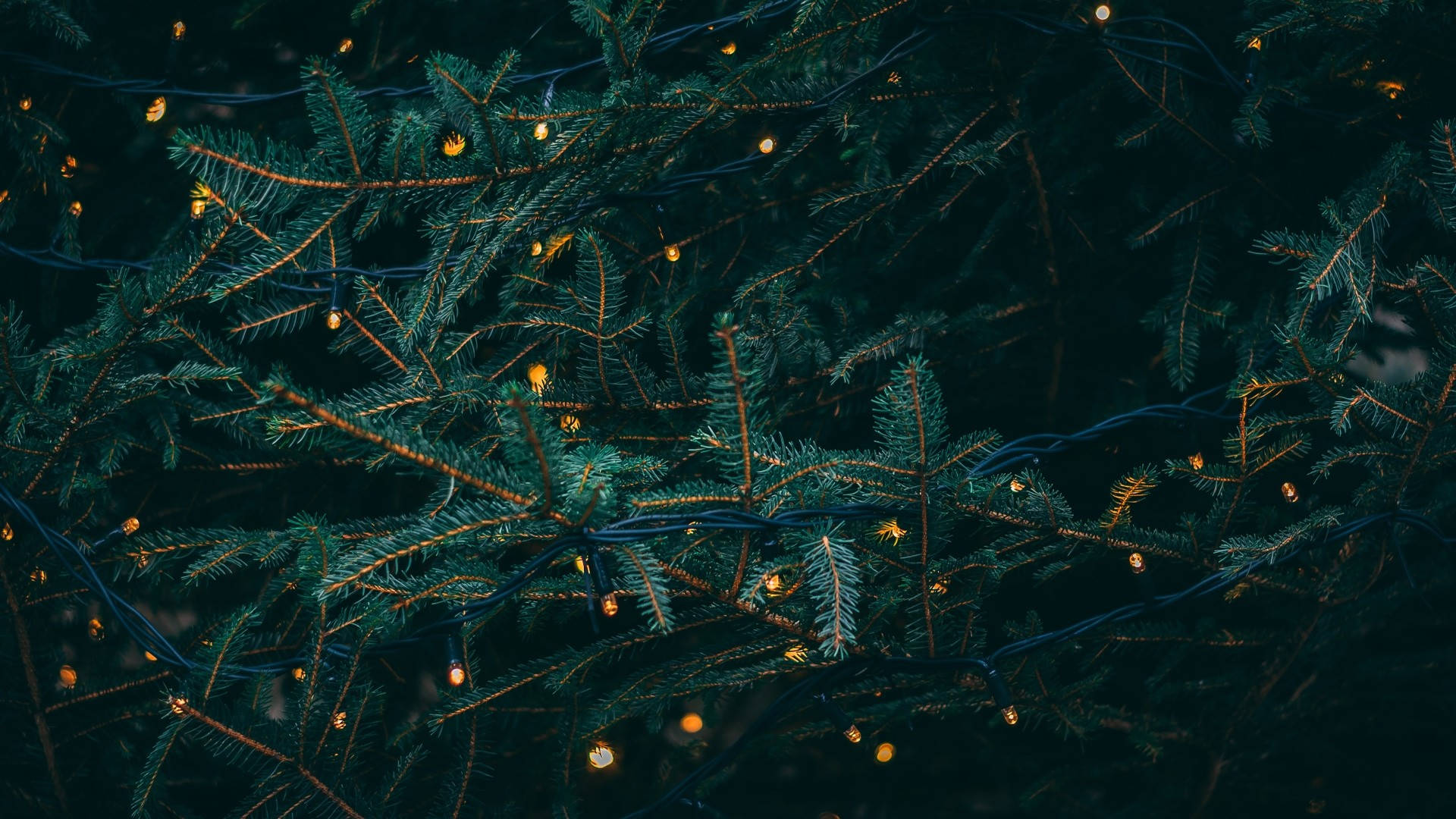 Mørkegrønn julestemning til skrivebordet Bakgrunner