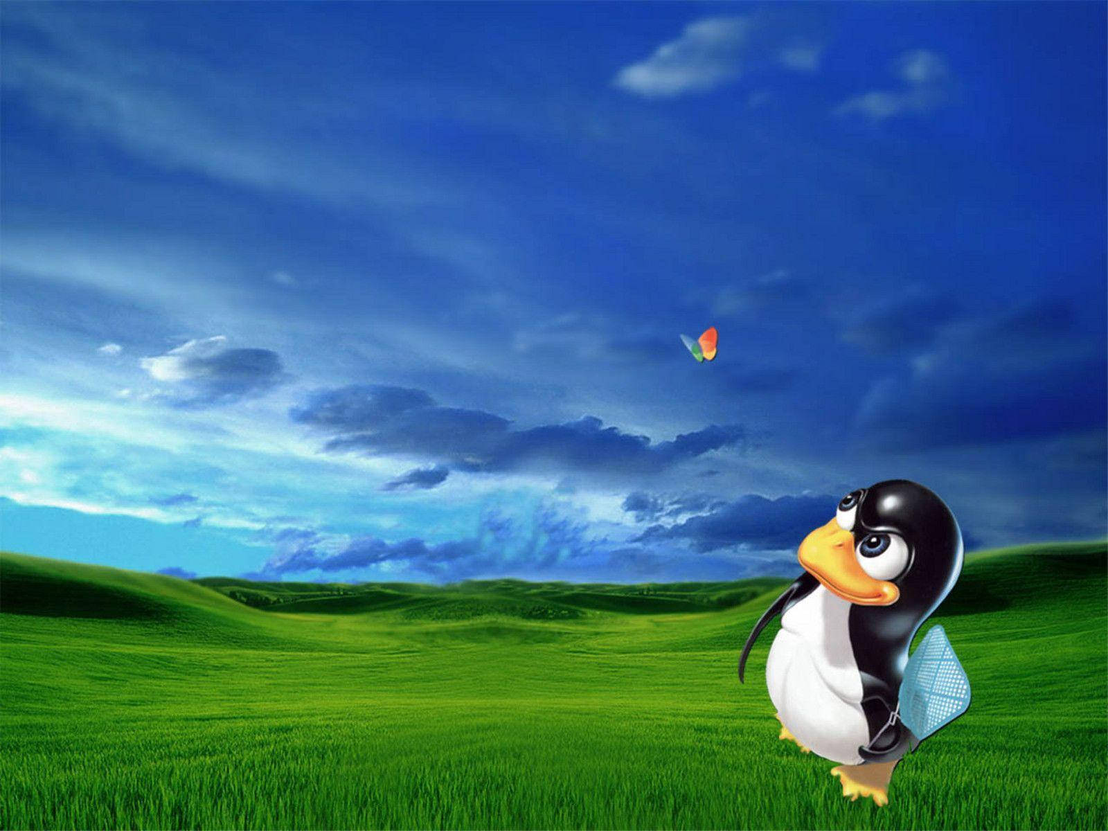 MSN Sommerfugl med Tux Bakgrunner