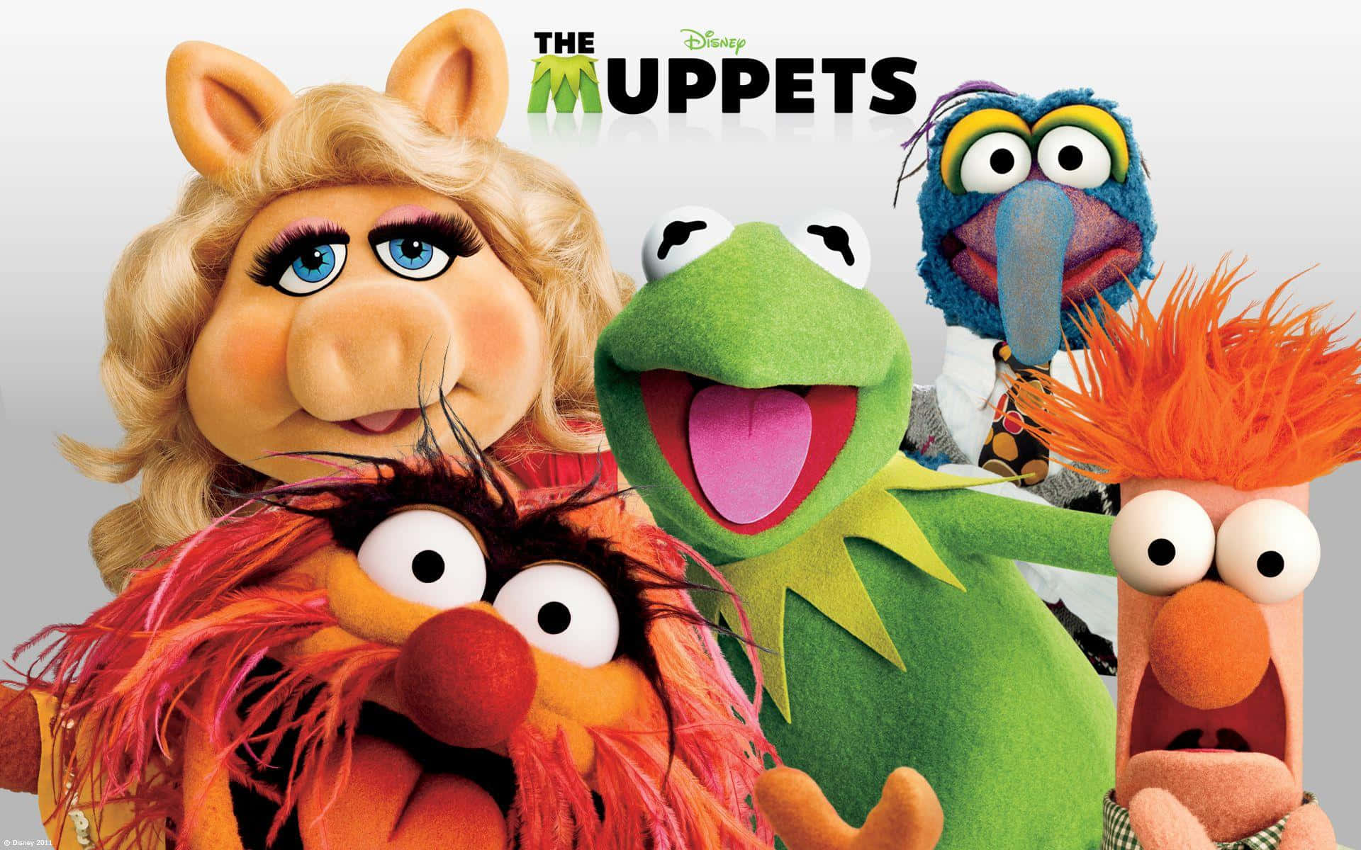 Muppet-filmplakat Bakgrunner
