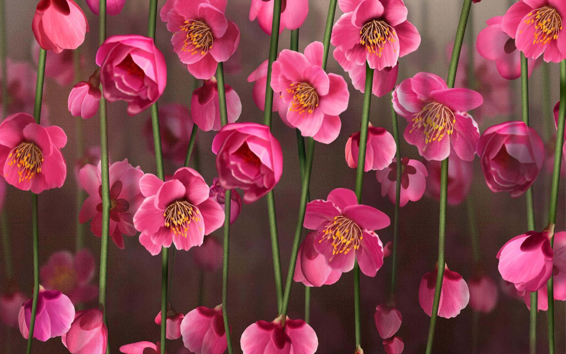 Myk rosa blomsterbakgrunn Bakgrunner