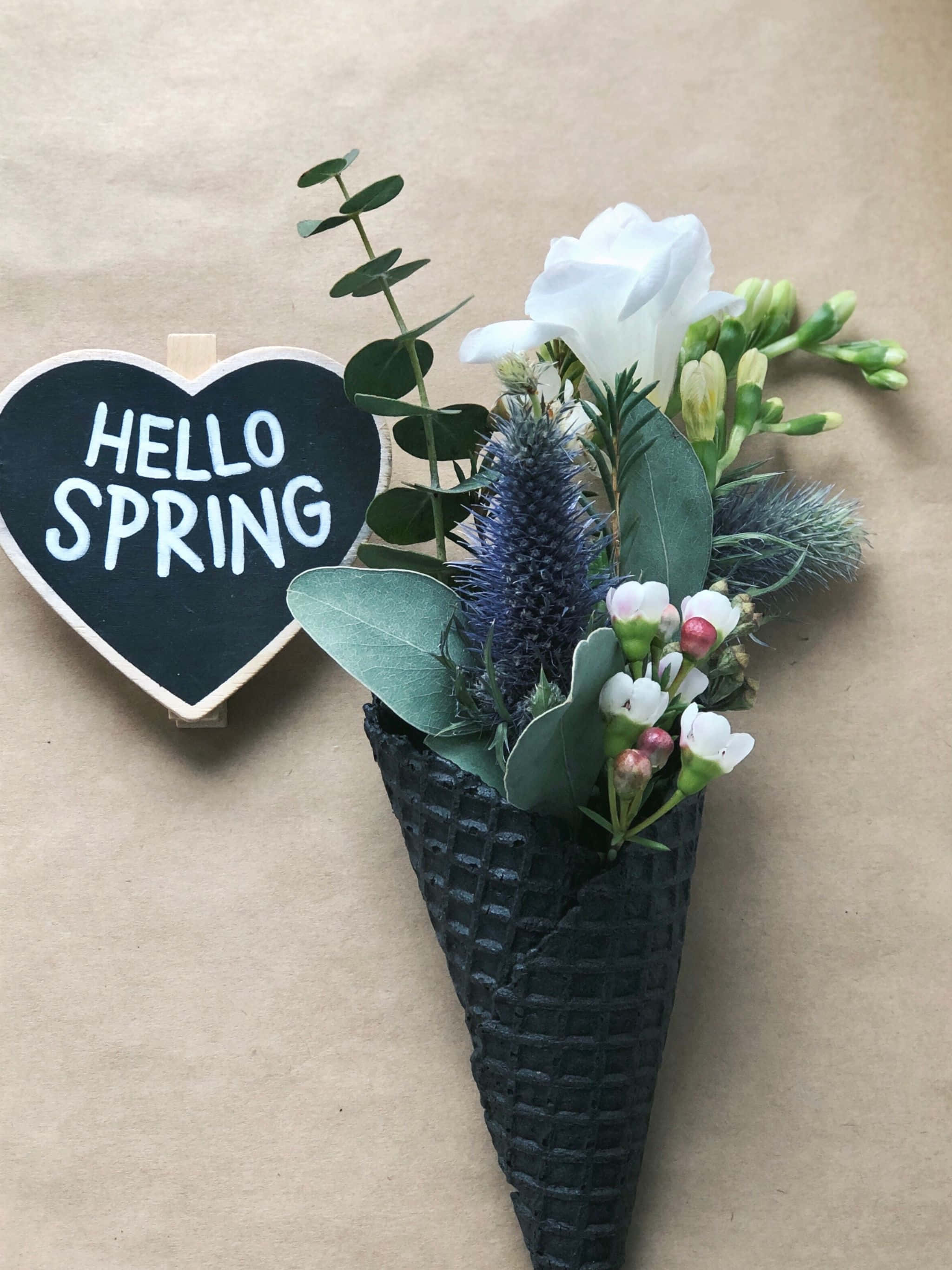Nærbilde av fargerike blomsterblader Bakgrunner