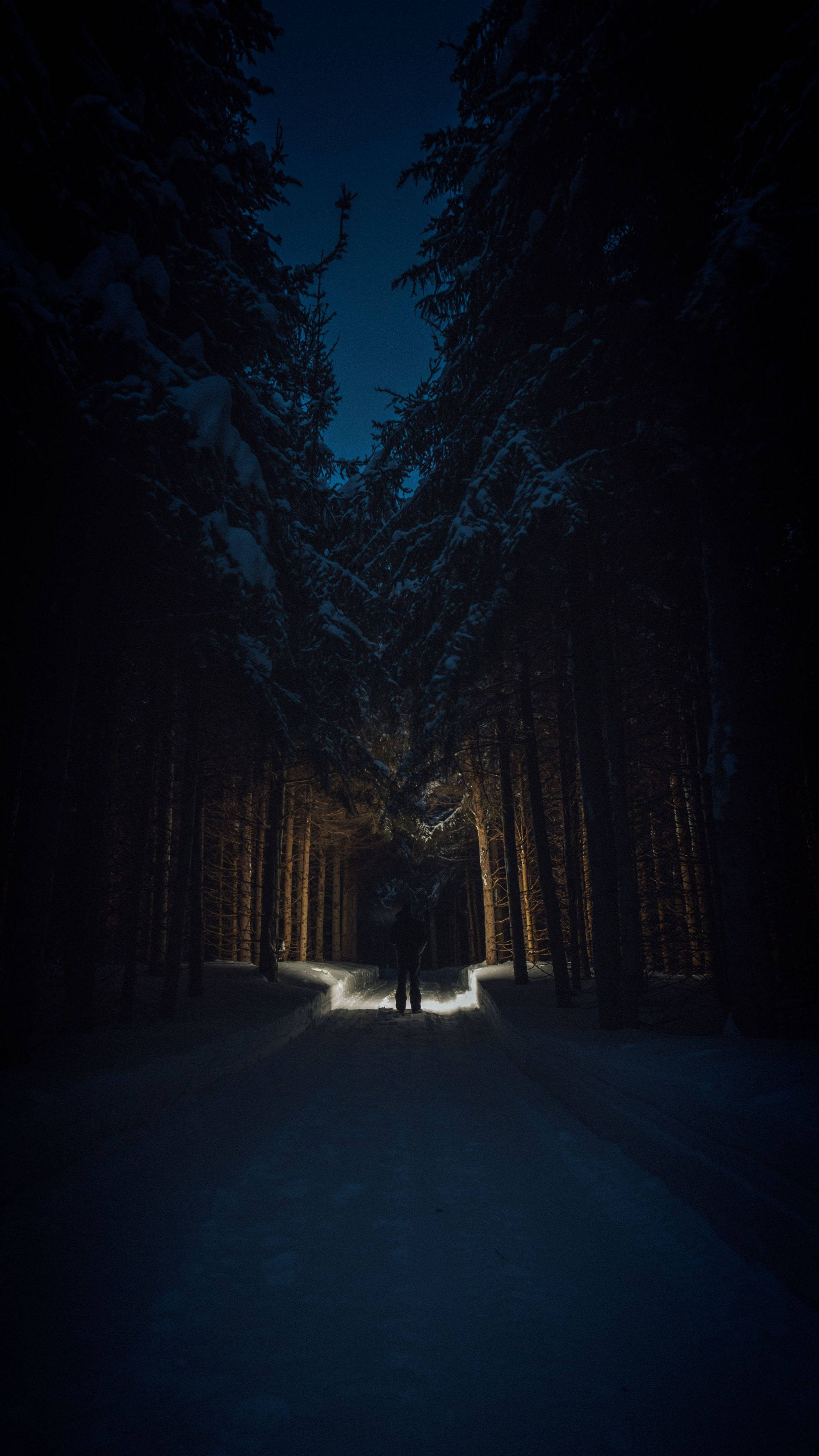 Natt i skogen 4K Ultra HD mørk telefon Bakgrunner