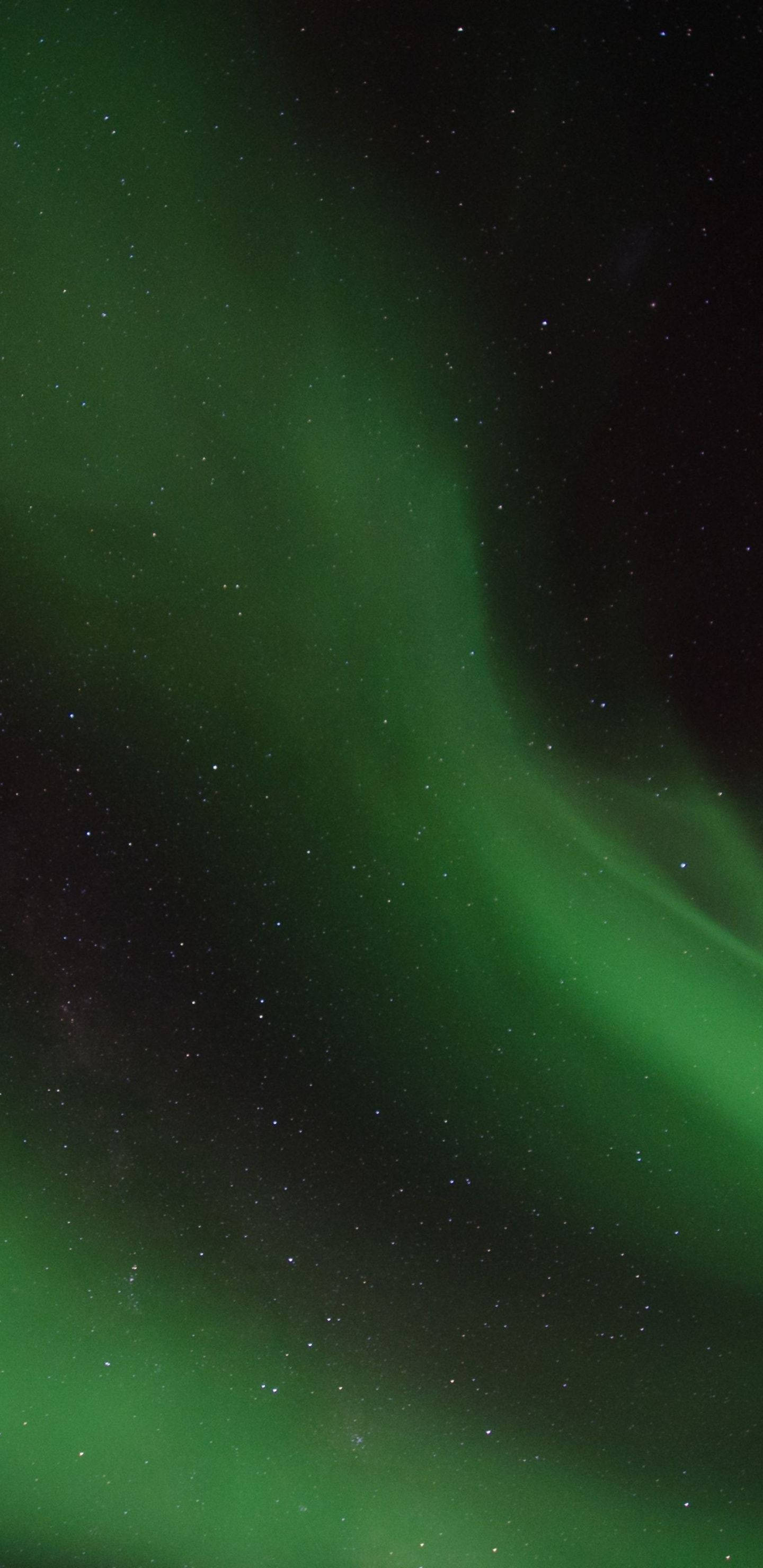 Nattgrønn himmel Bakgrunner
