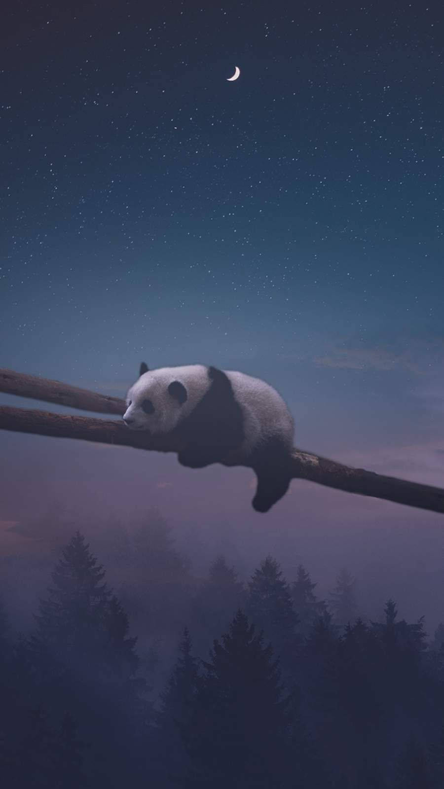 Nattpanda sover Bakgrunner