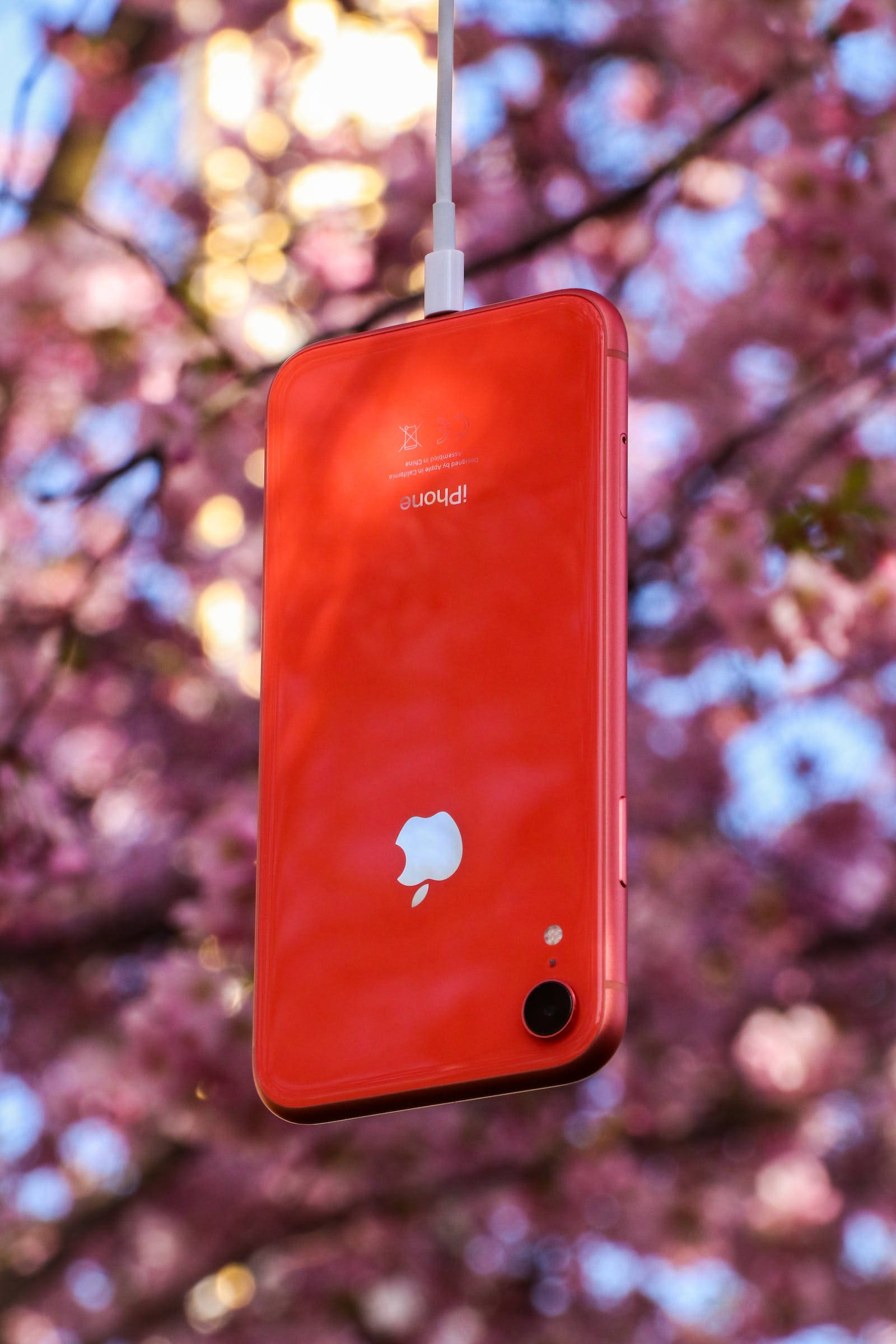 Natur iPhone Rød Bakgrunner