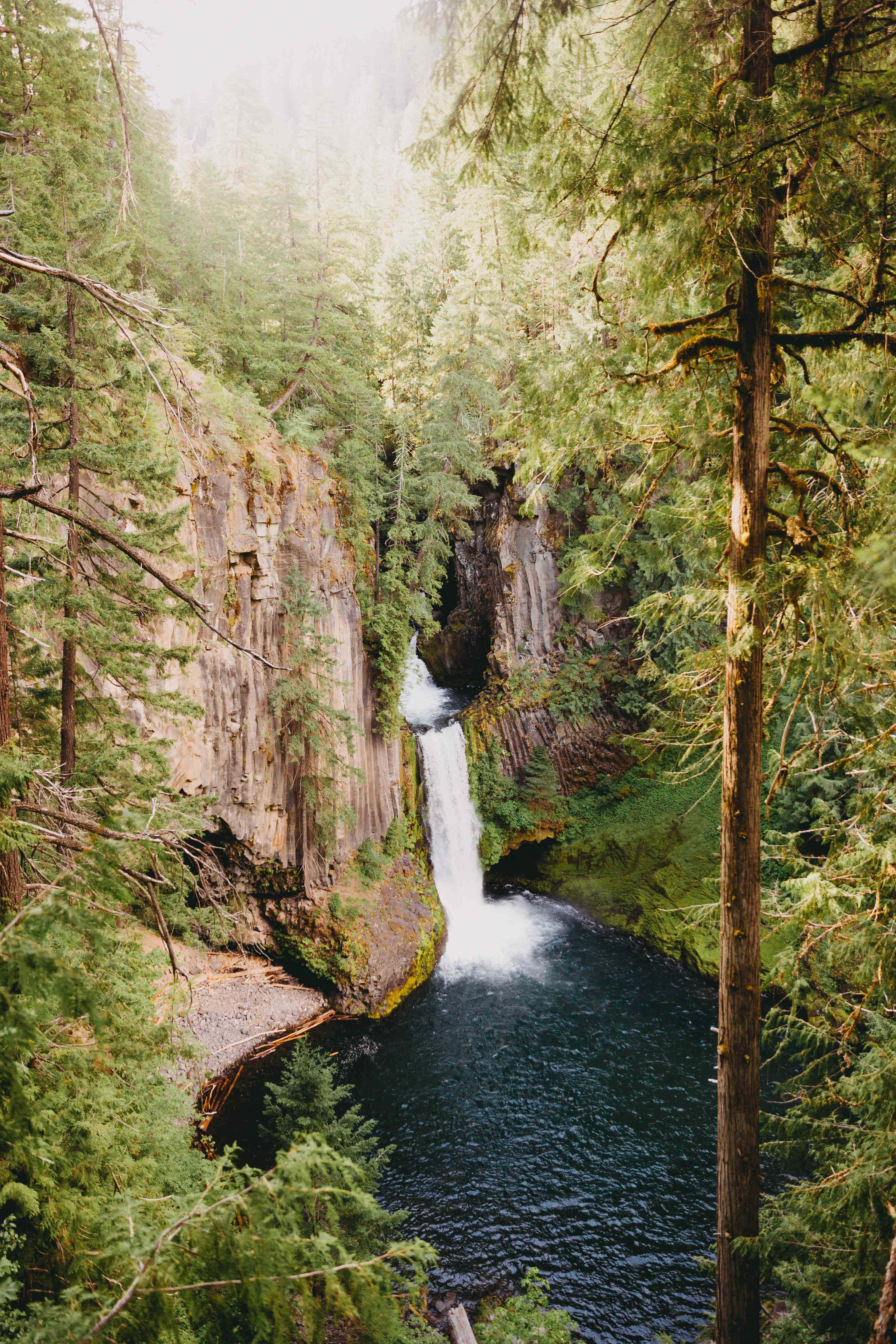 Naturbakgrunn Bakgrunner