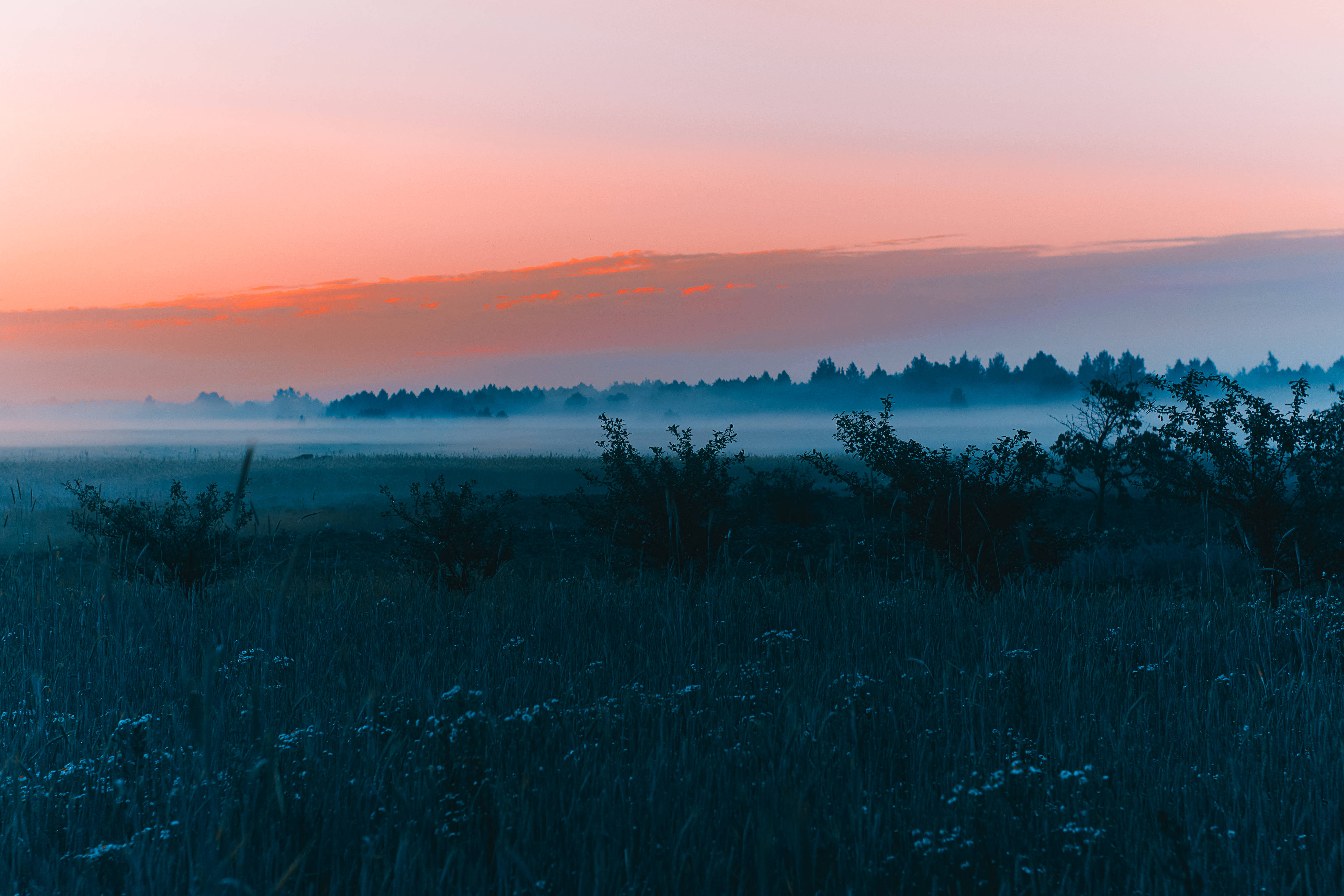 Naturens skjønnhet i april Bakgrunner