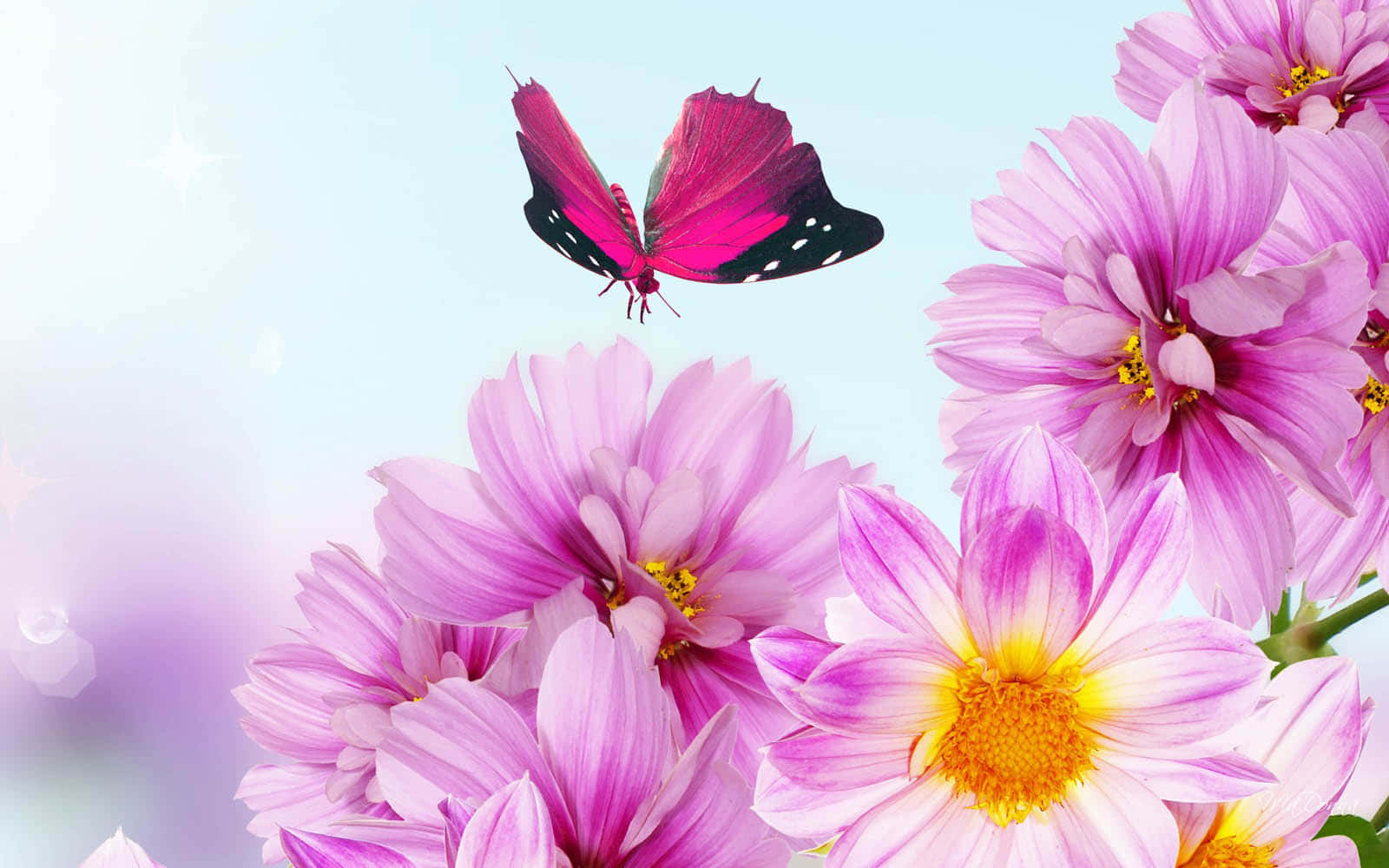 Naturens skjønnhet i full blomst Bakgrunner