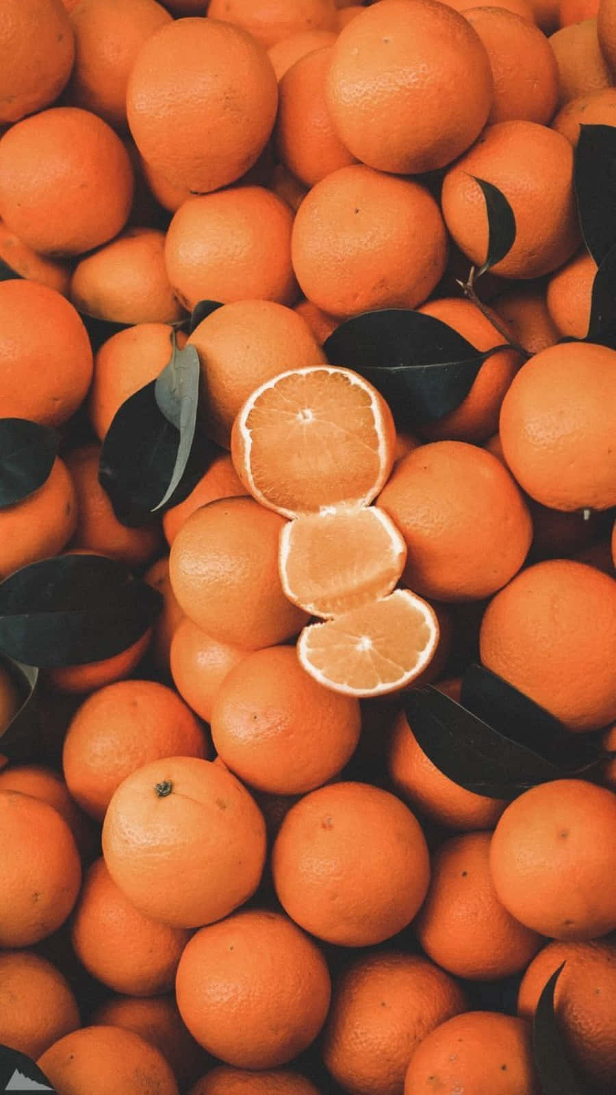 Naturlig skjønnhet kommer i mange farger, inkludert oransje 🍊 Bakgrunner