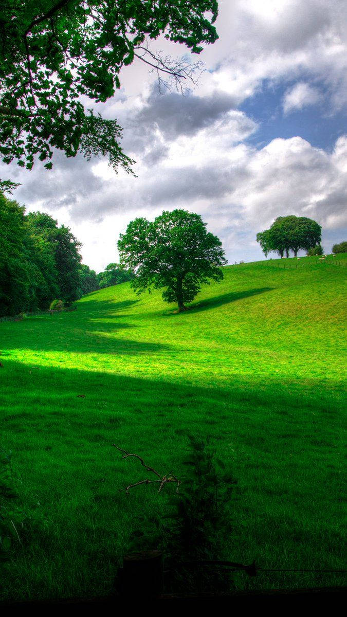 Naturportrett Grønne Åser Bakgrunner
