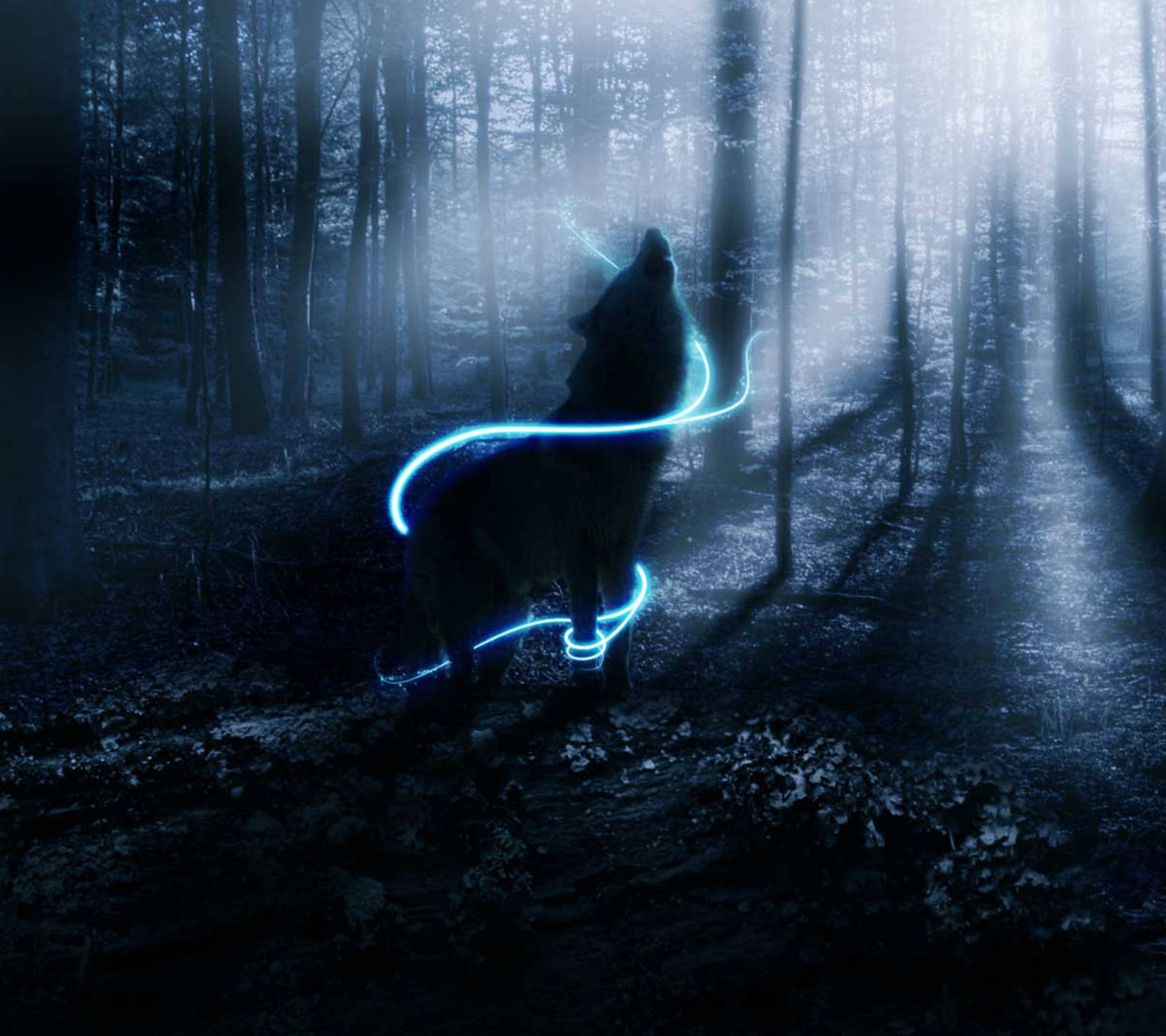 Neon blå animeulv i eterisk skog Bakgrunner